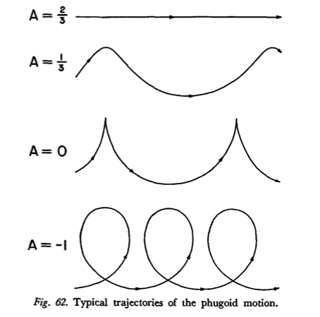 A family of looping and cusped phugoid trajectories
